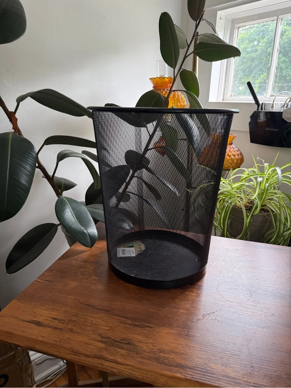 Black Mesh Wastebasket - Home Accents